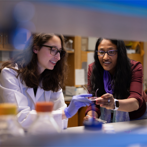 For Faculty & Research Staff – Duke External Partnerships